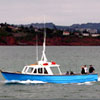 tuonella